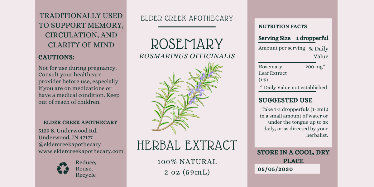 Rosemary Herbal Extract — Clarity, Circulation, and Spirit Fire