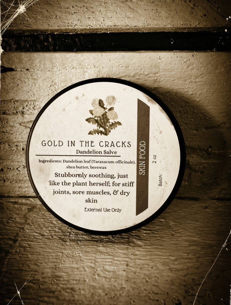 Gold in the Cracks - Dandelion Salve