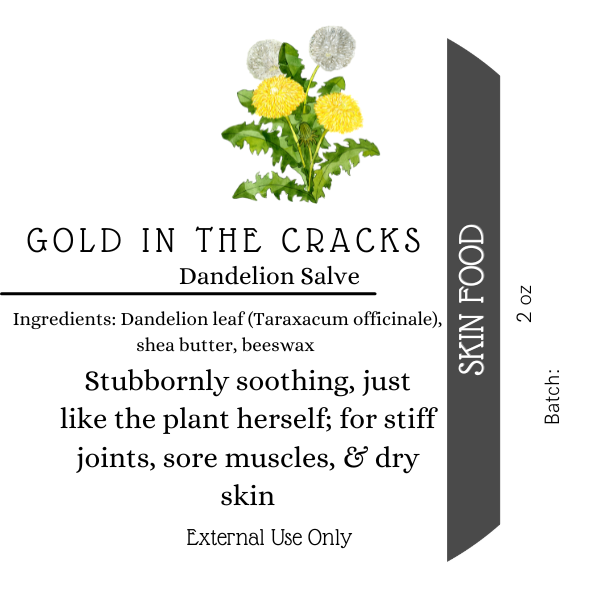 Gold in the Cracks - Dandelion Salve