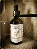 Rosemary Herbal Extract — Clarity, Circulation, and Spirit Fire